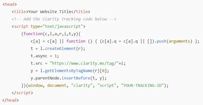 clarity-tracking-code-in-website-example